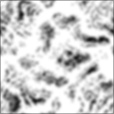 Bump Map