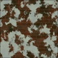 Diffuse Map