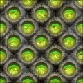 Brain Wall