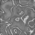 Bump Map