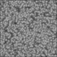 Bump Map