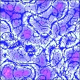 Diffuse Map