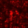 Diffuse Map