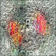 Variation 5