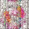 Variation 6