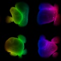 Glowing Brains