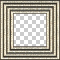 Ronjonie Wild Frame 2
