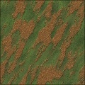 Grassy rock (or rocky grass)
