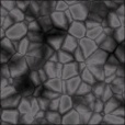 Diffuse Map