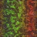 Skin of lizard (reptiles)