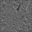 Bump Map