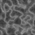 Bump Map