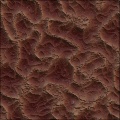 fossil of sand