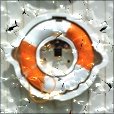 Variation 1