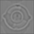 Bump Map