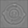 SpecExponent Map