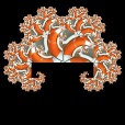 Variation 8