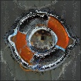 Variation 6