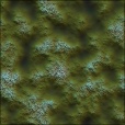 Variation 3