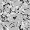 Bump Map