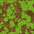 Diffuse Map