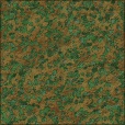 Variation 4
