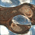 Variation 2