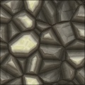 Turtle shell