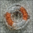 Variation 5