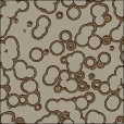 Variation 3