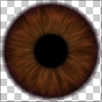 Variation 4