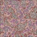 Polished Stone