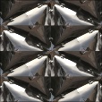 Variation 2