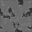 Bump Map
