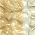 SS- Slimy Spackle