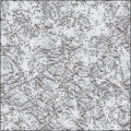 Dendrite