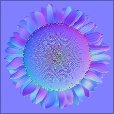 Normal Map