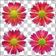 Variation 1