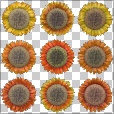 Variation 4