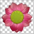 Variation 6