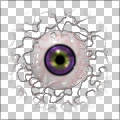 Oeil de Mutenerie