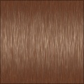 Shiny Hair