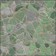 Variation 8