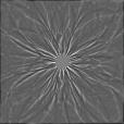 Bump Map
