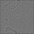 Pitted Concrete