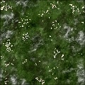 Grass