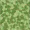 Cammo