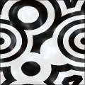 Zebra Spots