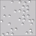 Basic Bullet Holes
