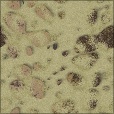 Diffuse Map